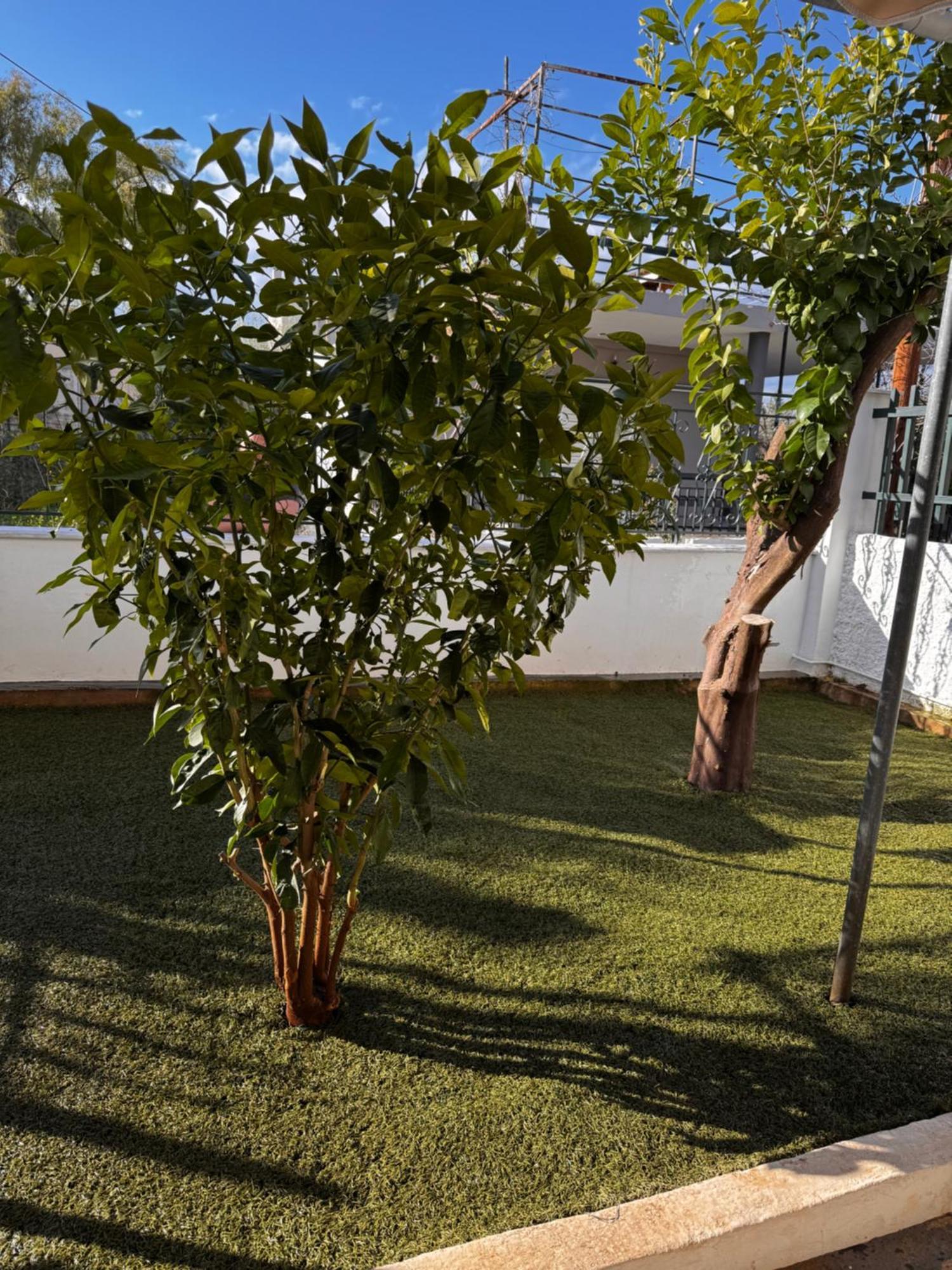 Salamis Luxury Escape Villa Exteriör bild